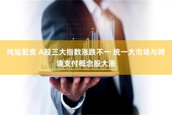 纯旭配资 A股三大指数涨跌不一 统一大市场与跨境支付概念股大涨