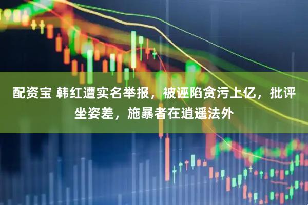 配资宝 韩红遭实名举报，被诬陷贪污上亿，批评坐姿差，施暴者在逍遥法外