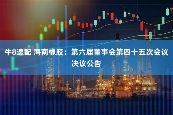 牛8速配 海南橡胶：第六届董事会第四十五次会议决议公告