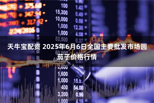 天牛宝配资 2025年6月6日全国主要批发市场圆茄子价格行情