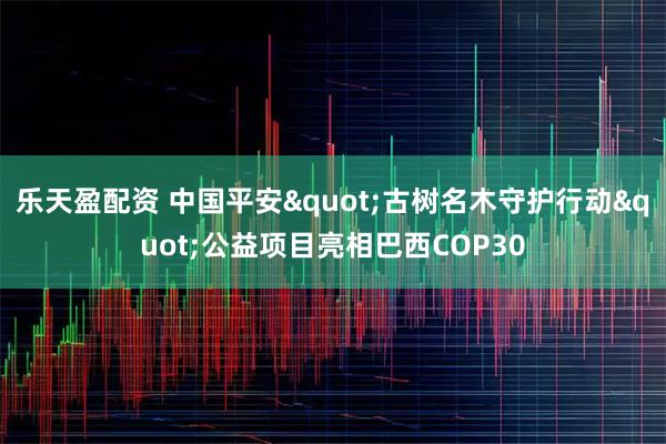 乐天盈配资 中国平安"古树名木守护行动"公益项目亮相巴西COP30