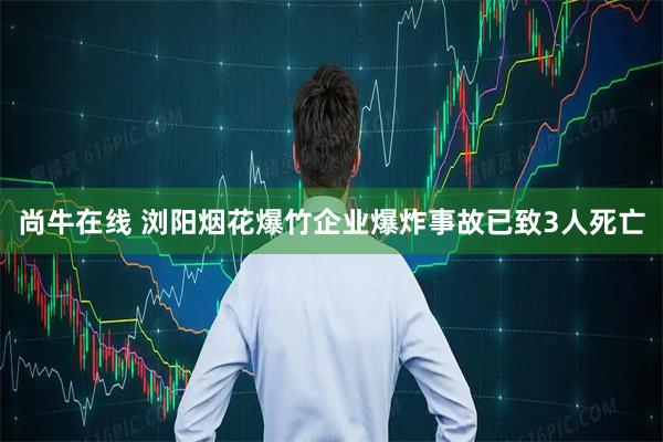 尚牛在线 浏阳烟花爆竹企业爆炸事故已致3人死亡