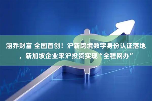 涵乔财富 全国首创！沪新跨境数字身份认证落地，新加坡企业来沪投资实现“全程网办”